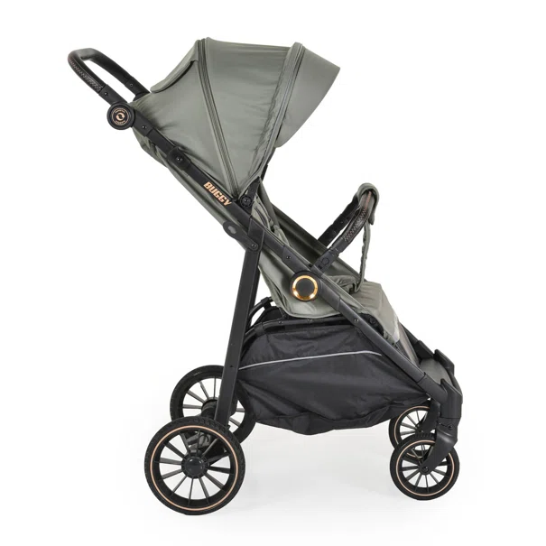 Καρότσι (0-48 Μηνών/Έως 22kg) Moni Buggy Green
