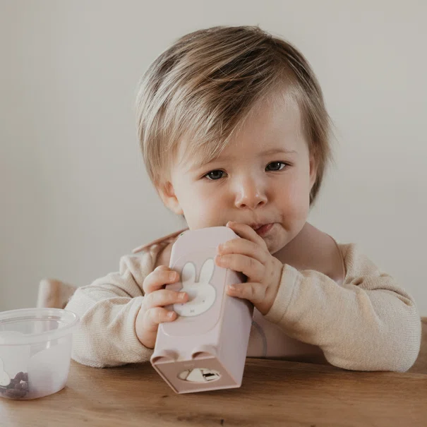 Κουτάλια Φαγητού (Σετ 6τμχ) Miffy Koko Pink 69-24713