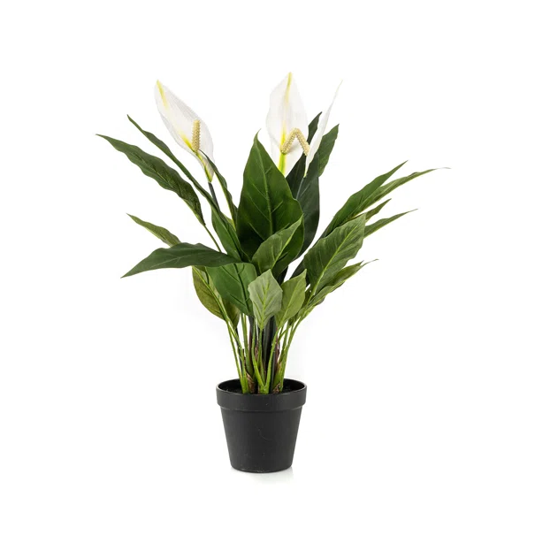 Τεχνητό Λουλούδι Σε Γλάστρα 53εκ. Emerald Spathiphyllum 432795