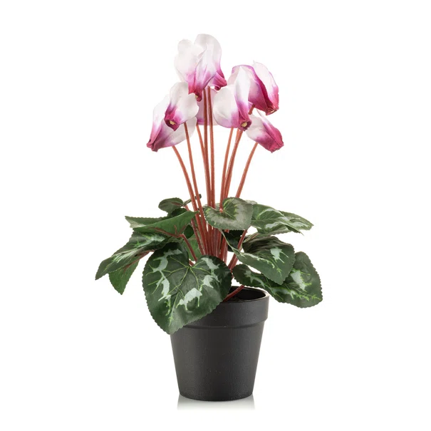 Τεχνητό Λουλούδι Σε Γλάστρα 30εκ. Emerald Cyclamen White 433387