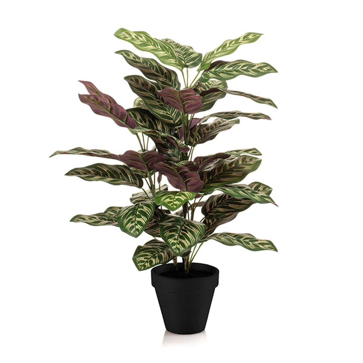 Τεχνητό Φυτό Σε Γλάστρα 65εκ. Emerald Calathea 435263