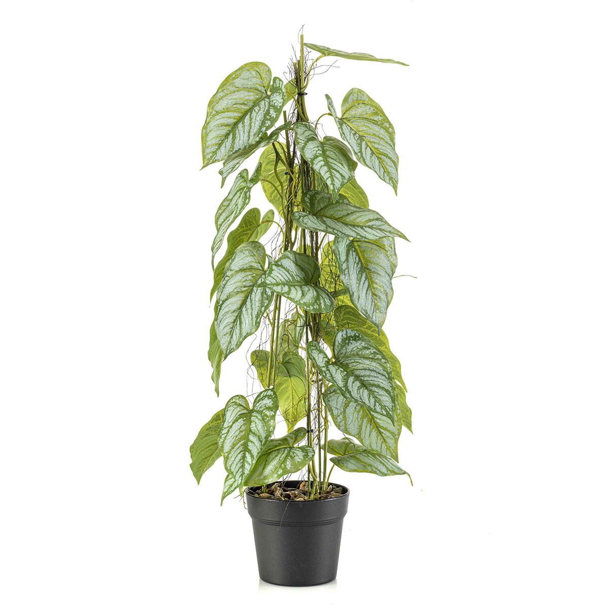 Τεχνητό Φυτό Σε Γλάστρα 80εκ. Emerald Anthurium 434483