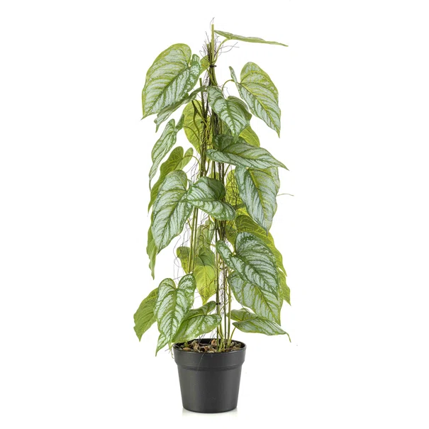 Τεχνητό Φυτό Σε Γλάστρα 80εκ. Emerald Anthurium 434483