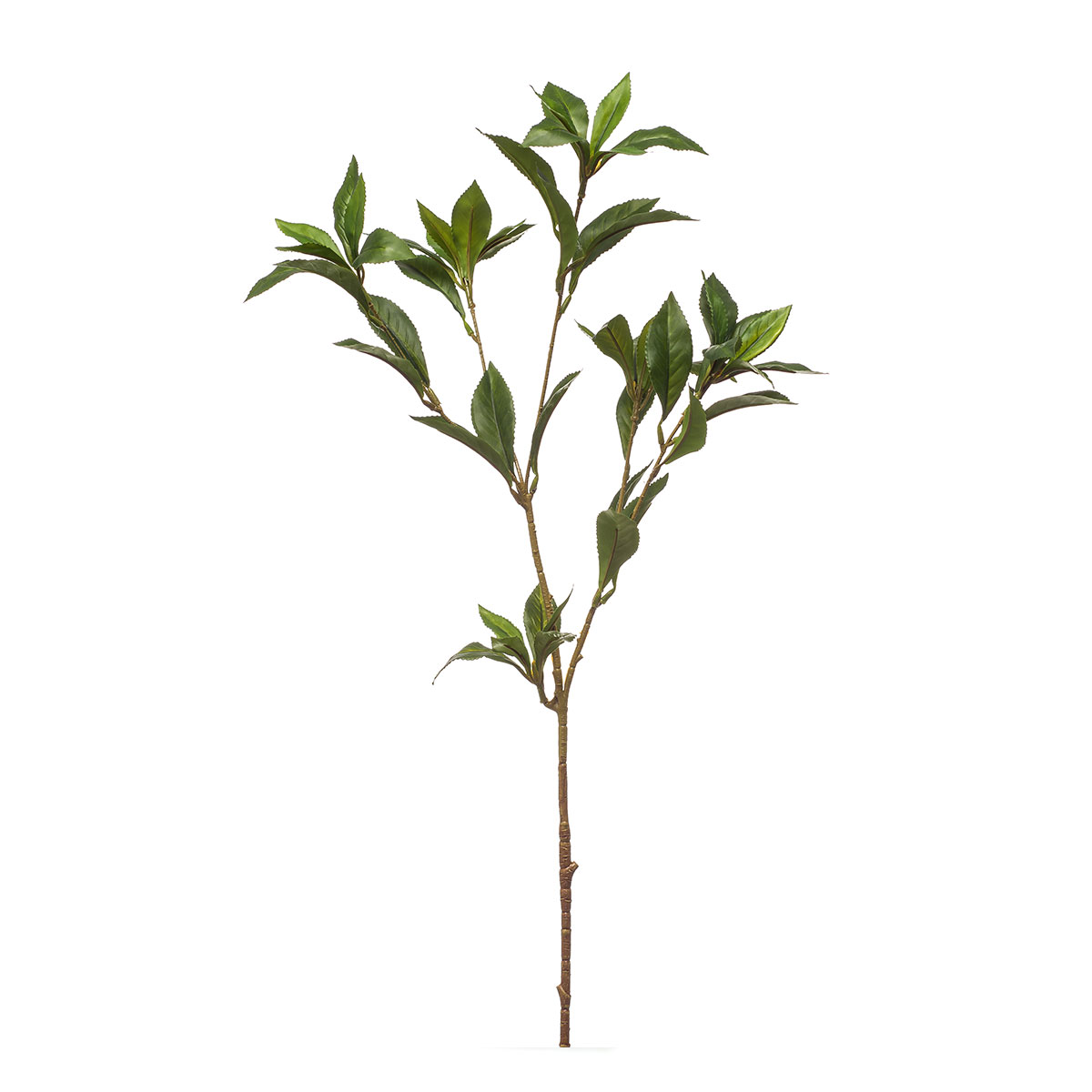 Τεχνητό Κλαδί 90εκ. Emerald Laurel Green 432086
