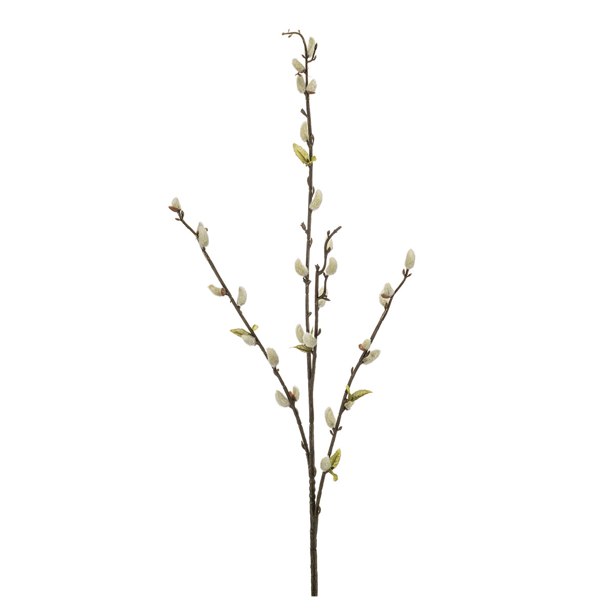 Τεχνητό Κλαδί 78εκ. Emerald Pussy Willow Cream 436140
