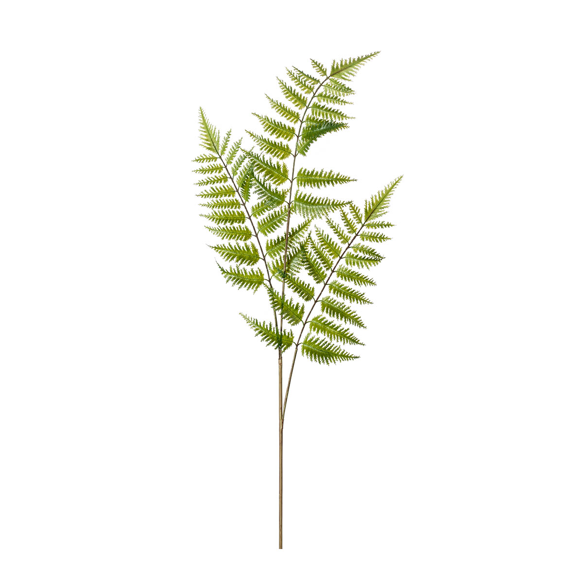 Τεχνητό Κλαδί 85εκ. Emerald Fern Green 419120
