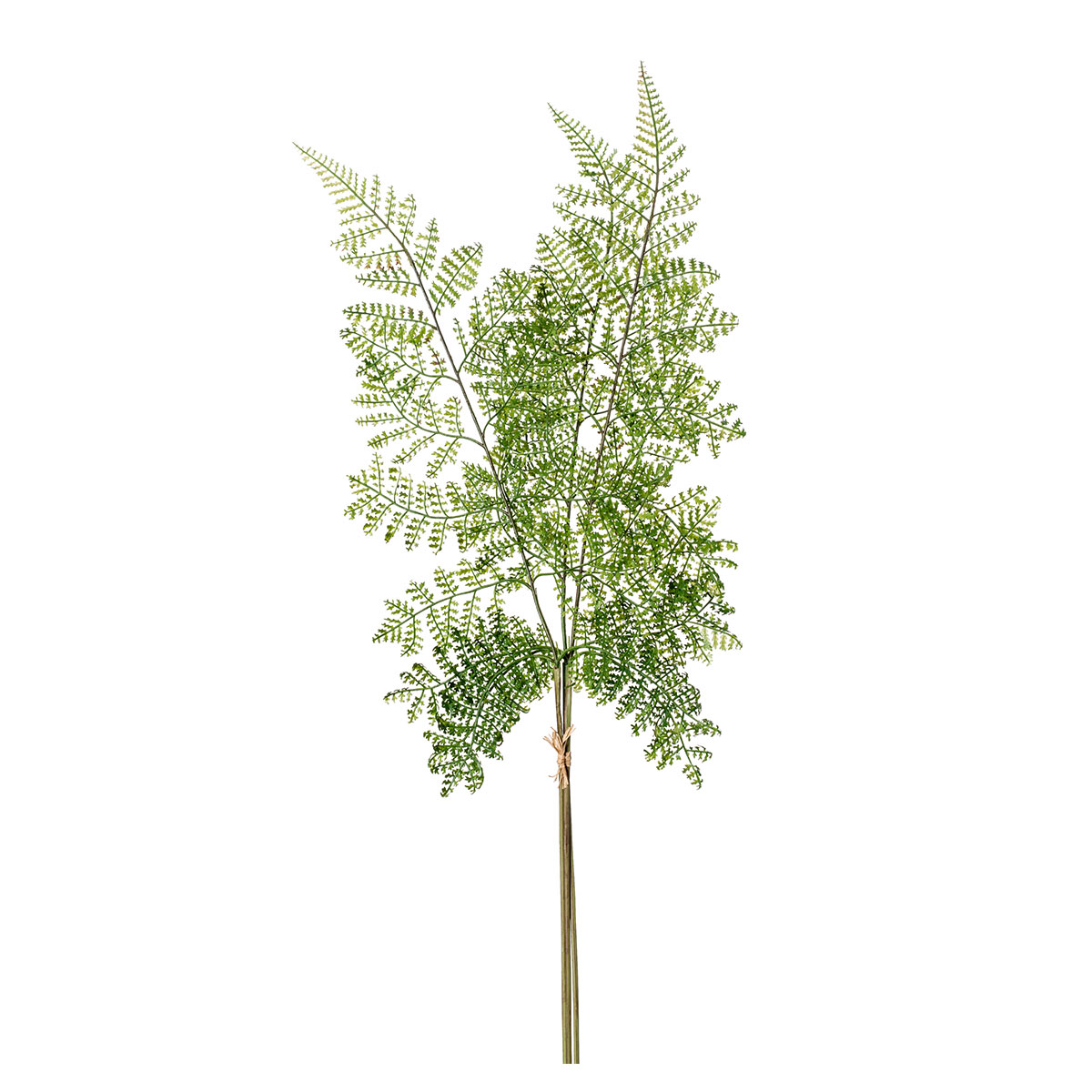 Τεχνητό Κλαδί 58εκ. Emerald Fern Green 419118