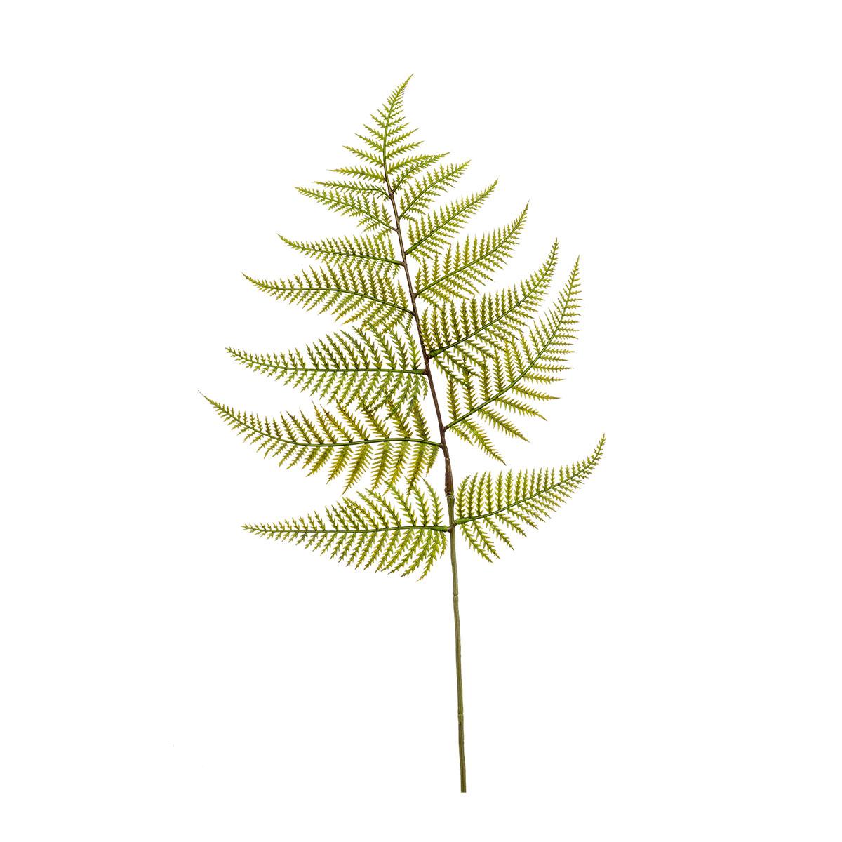 Τεχνητό Κλαδί 80εκ. Emerald Fern Green 427832