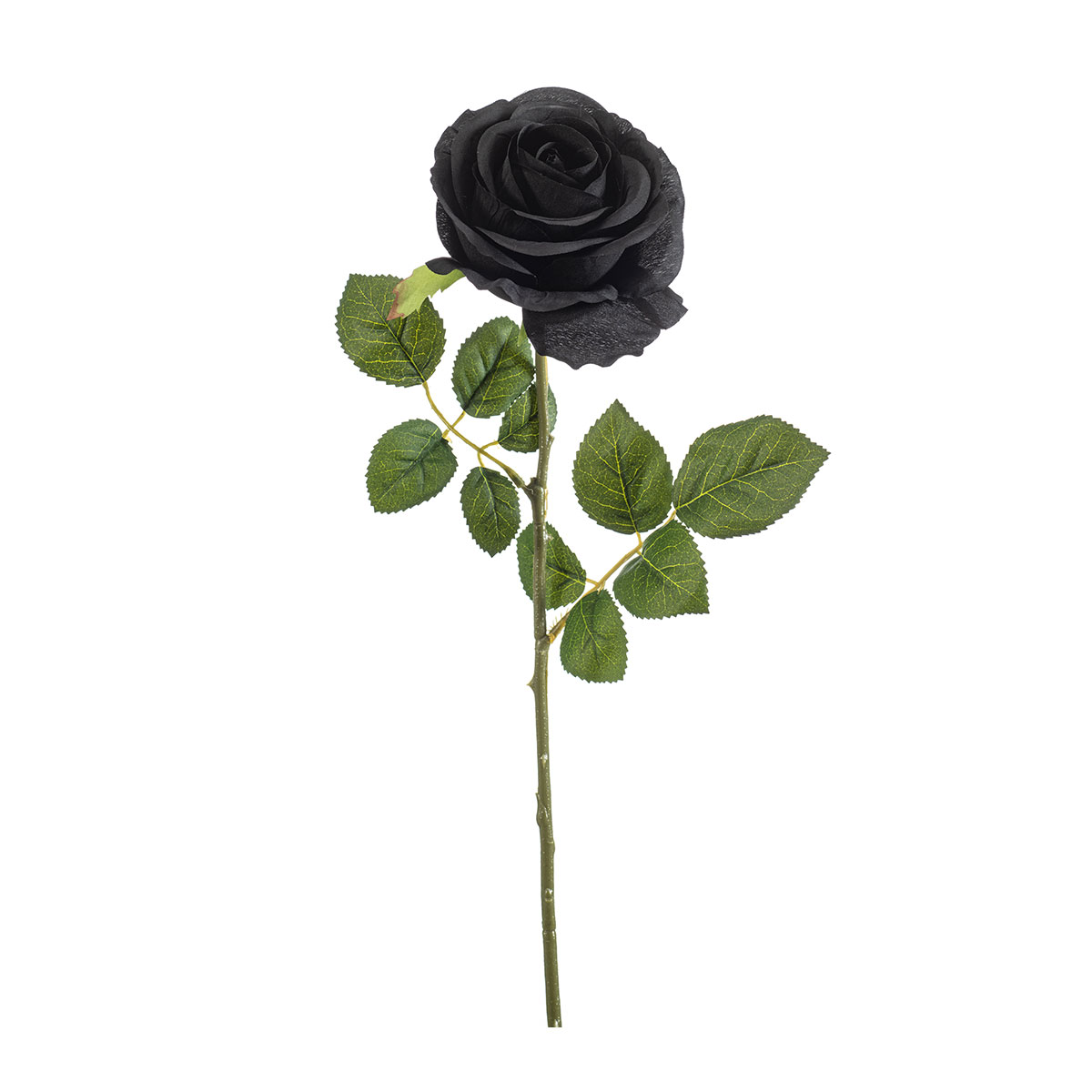 Τεχνητό Λουλούδι 67εκ. Emerald Rose Black 435249