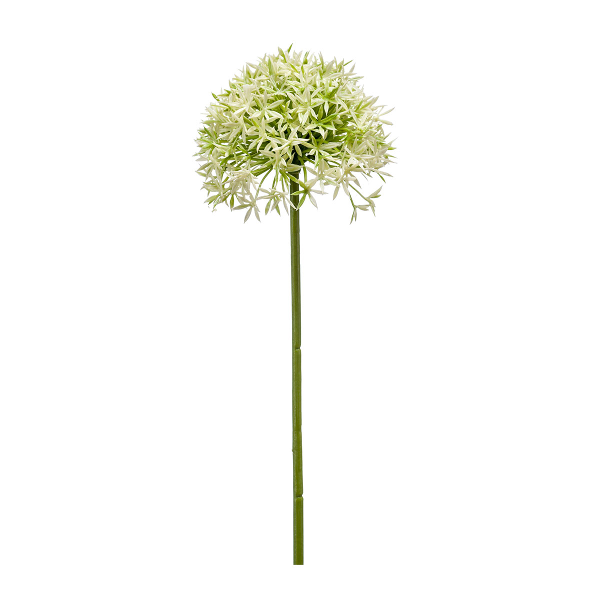 Τεχνητό Λουλούδι 62εκ. Emerald Allium Cream/Green 423780
