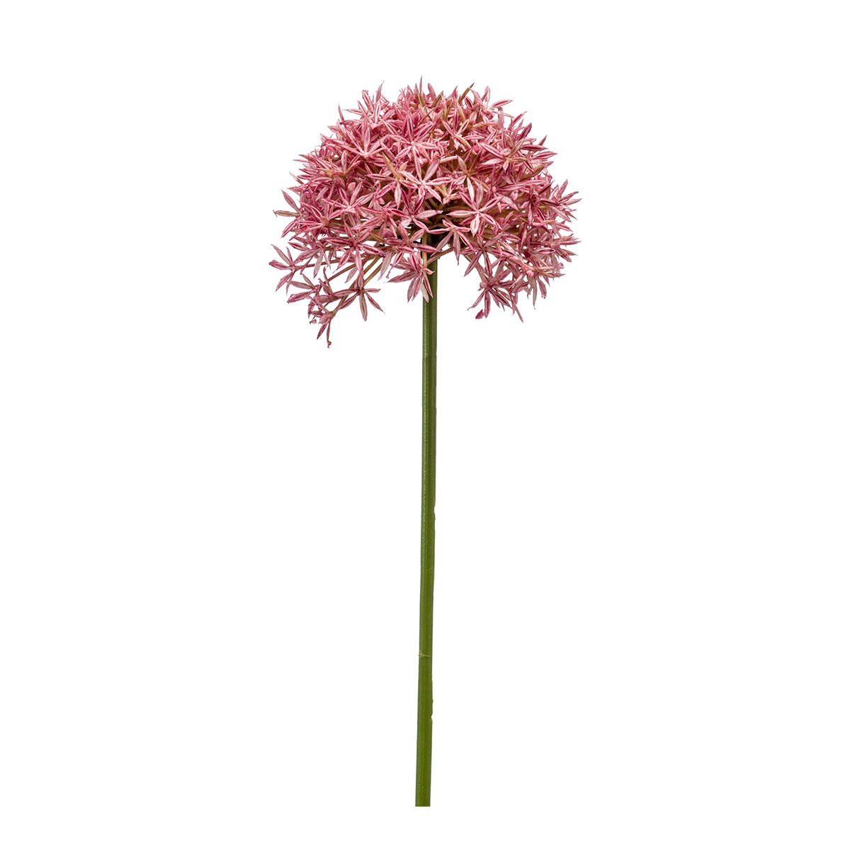 Τεχνητό Λουλούδι 62εκ. Emerald Allium Pink 423781