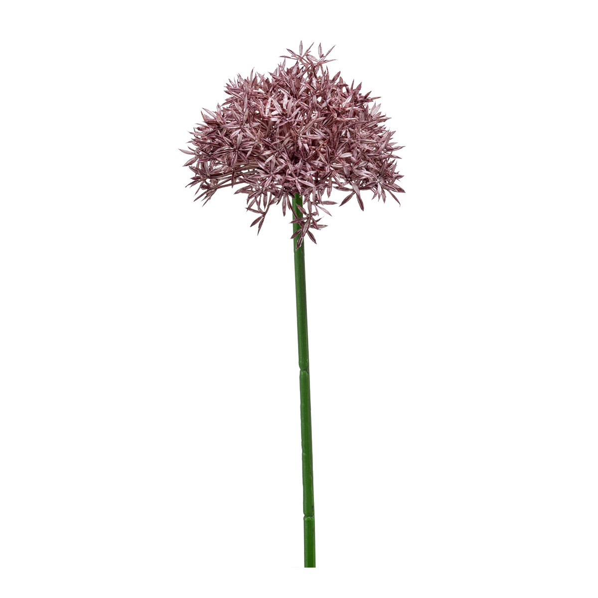 Τεχνητό Λουλούδι 62εκ. Emerald Allium Purple 423783