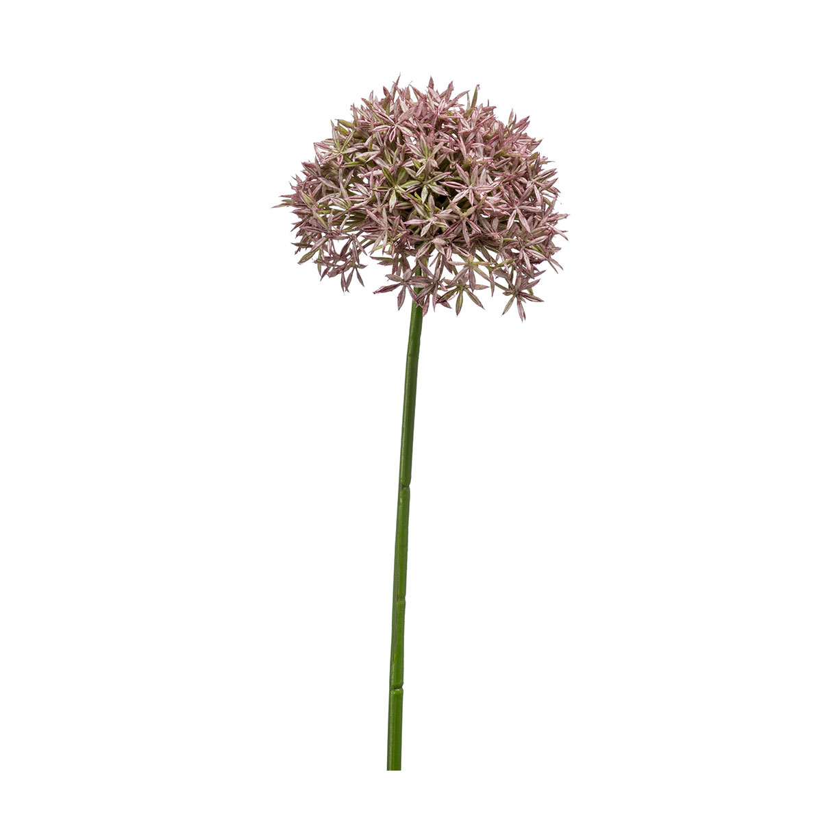 Τεχνητό Λουλούδι 62εκ. Emerald Allium Lilac 423782