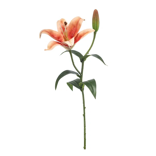 Τεχνητό Λουλούδι 56κ. Emerald Orange 433645