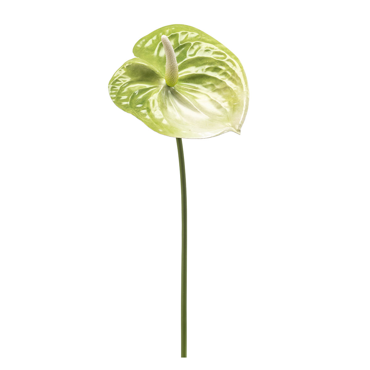 Τεχνητό Κλαδί 65κ. Emerald Anthurium Green 435629
