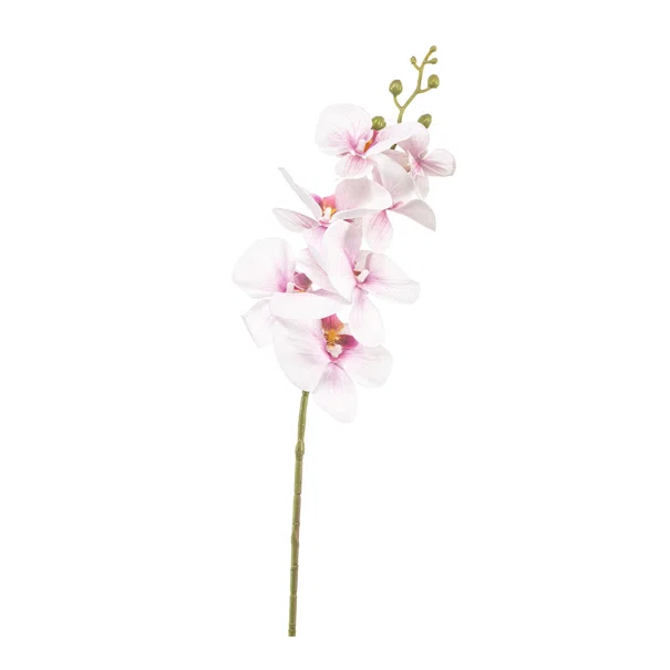 Τεχνητό Λουλούδι 84κ. Emerald Phalaenopsis Pink 433652