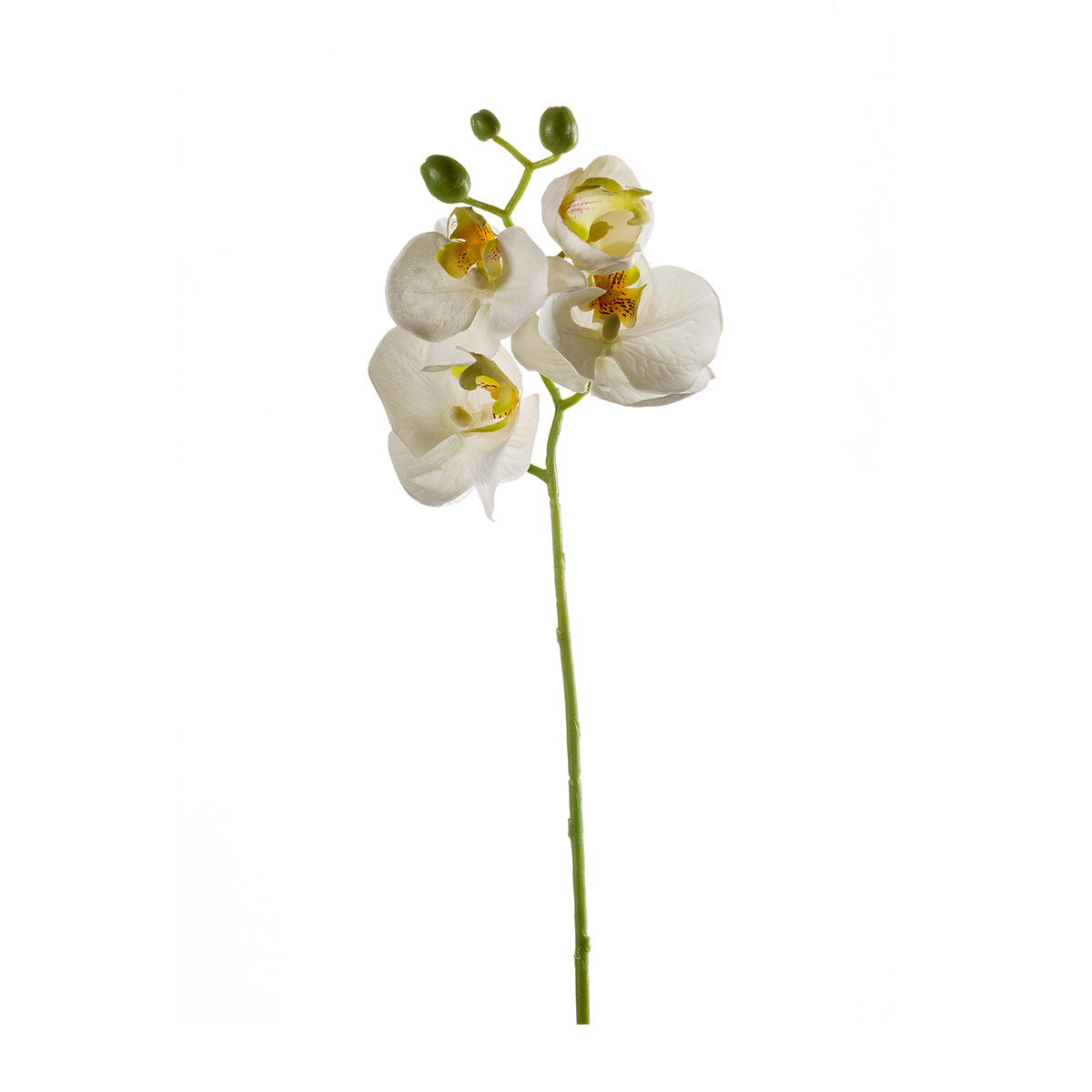 Τεχνητό Λουλούδι 56κ. Emerald Phalaenopsis White 418525
