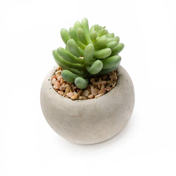 Τεχνητό Φυτό Σε Γλάστρα (6.5εκ.) Emerald Succulent-2 420007