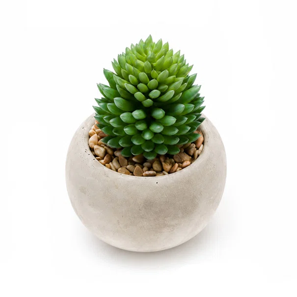 Τεχνητό Φυτό Σε Γλάστρα (6.5εκ.) Emerald Succulent-3 420007