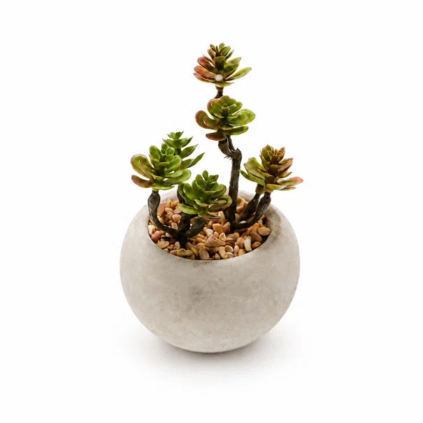 Τεχνητό Φυτό Σε Γλάστρα (6.5εκ.) Emerald Succulent-4 420007