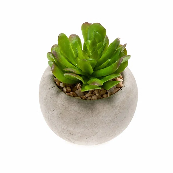 Τεχνητό Φυτό Σε Γλάστρα (6.5εκ.) Emerald Succulent-6 420007