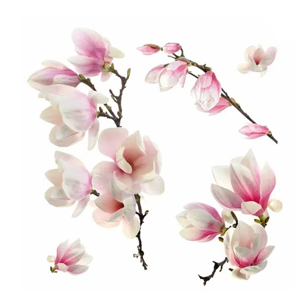 Αυτοκόλλητα Παραθύρου Διπλής Όψης Ango Magnolia 64006