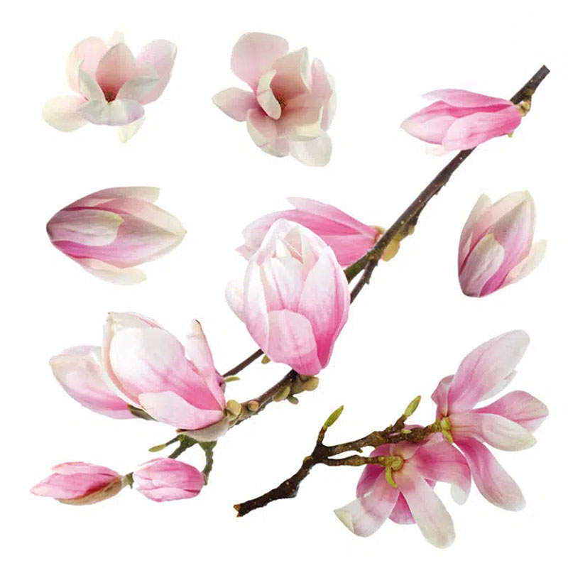 Αυτοκόλλητα Παραθύρου Διπλής Όψης Ango Magnolia 64006 Διακόσμηση Τοίχου Spitishop