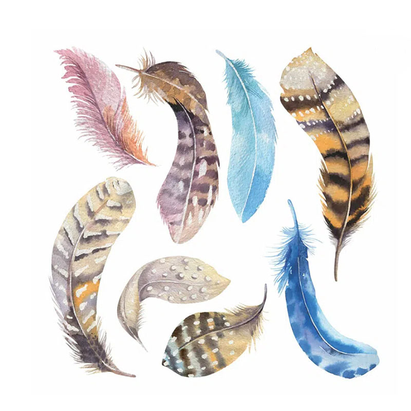 Αυτοκόλλητα Τοίχου Ango Watercolour Dreamcatcher 54111