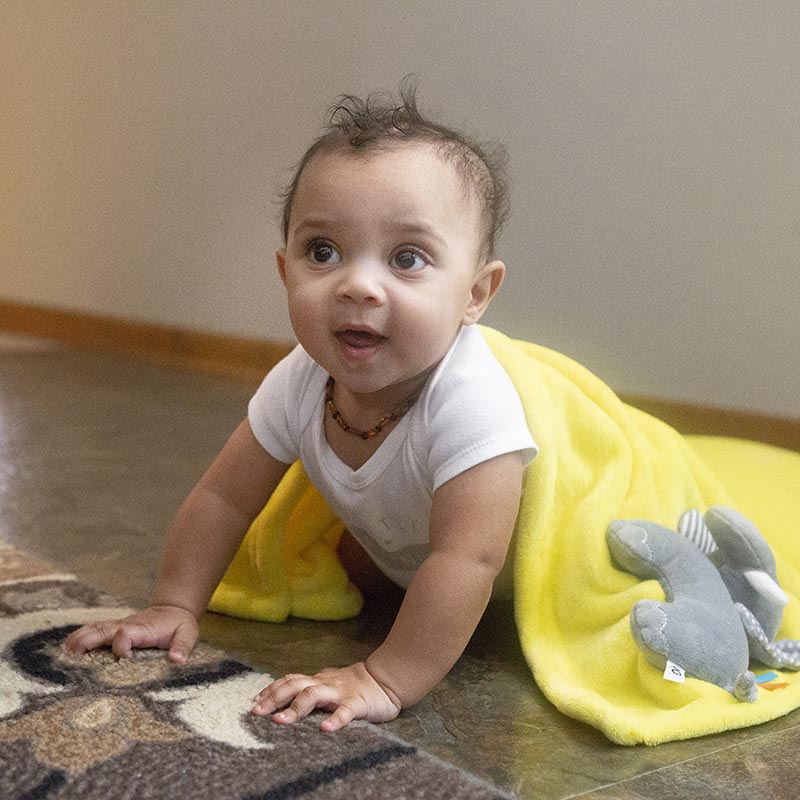 Κουβέρτα Fleece Αγκαλιάς (68.5x100) Zoocchini Elephant