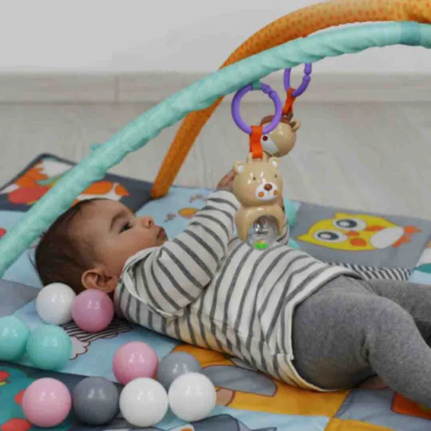 Βρεφικό Γυμναστήριο Bebe Stars Lion Picnic 100-179