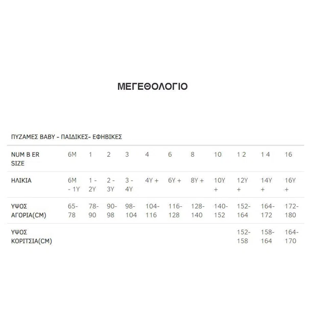 Πιτζάμα Παιδική Χειμωνιάτικη Minervakia Dino Rock 62063-023 Γκρι