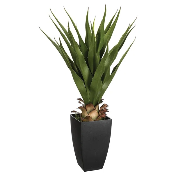 Τεχνητό Φυτό Σε Γλάστρα (56x54x71) A-S Agave 103165