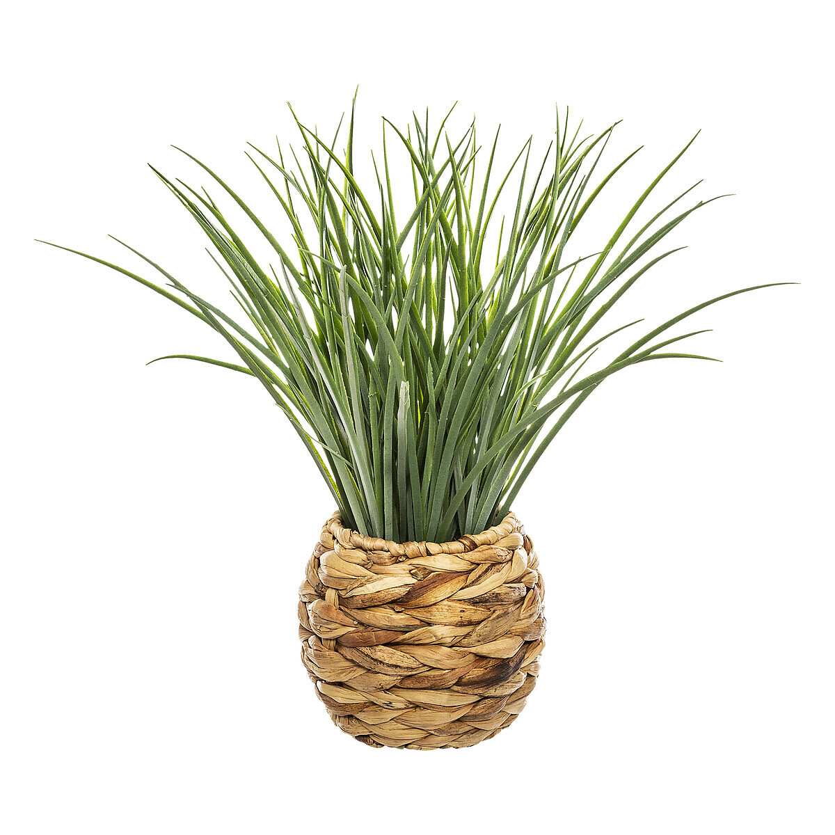 Τεχνητό Φυτό Σε Γλάστρα (Φ19x48.5) A-S Grass 168588