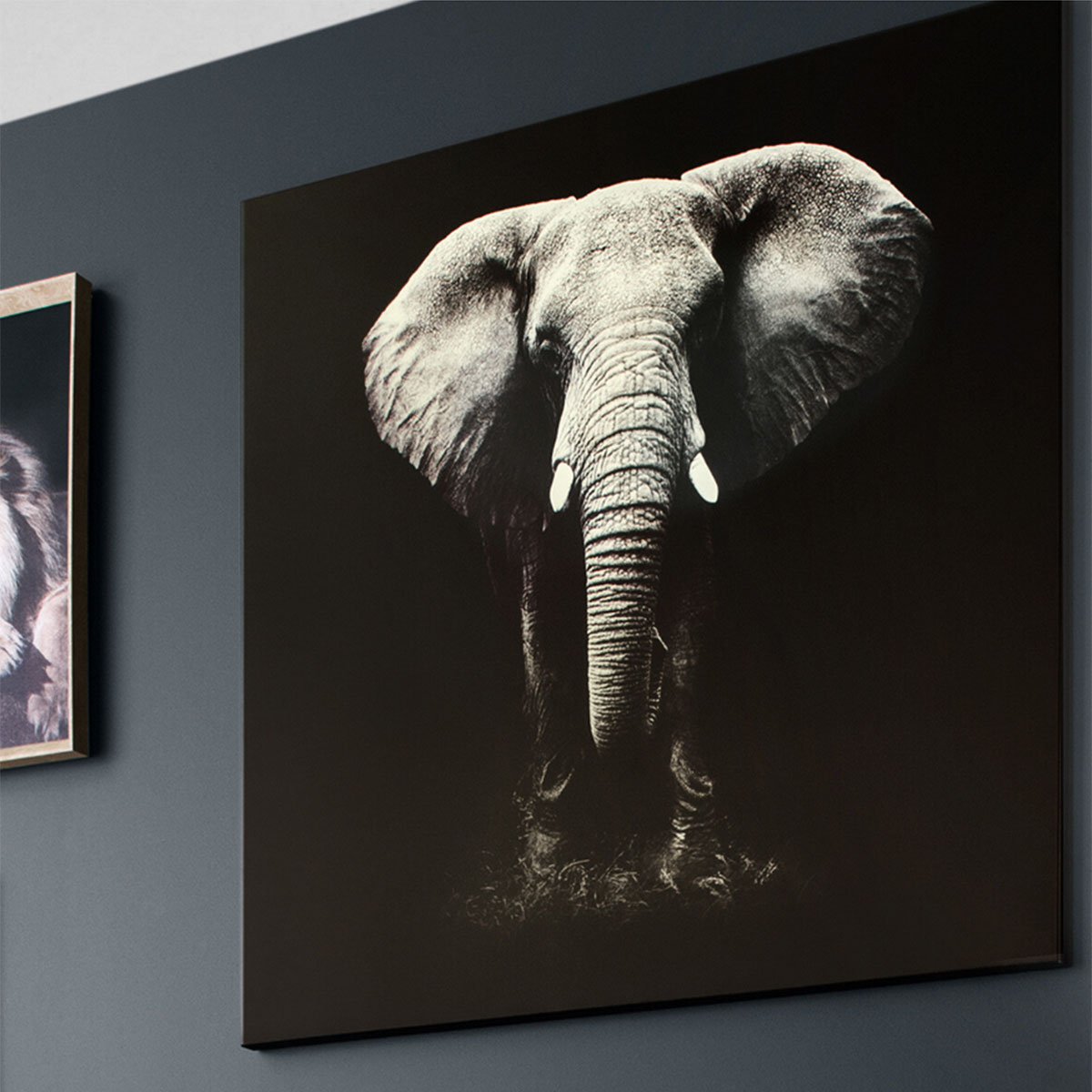 Πίνακας (100X100) A-S Elephant 158209 Διακόσμηση Πίνακες & Κάδρα Τοίχου σε Καμβά Spitishop