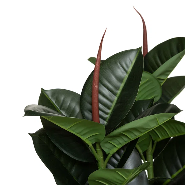 Τεχνητό Δέντρο (Φ40x120) A-S Ficus Robusta 181460