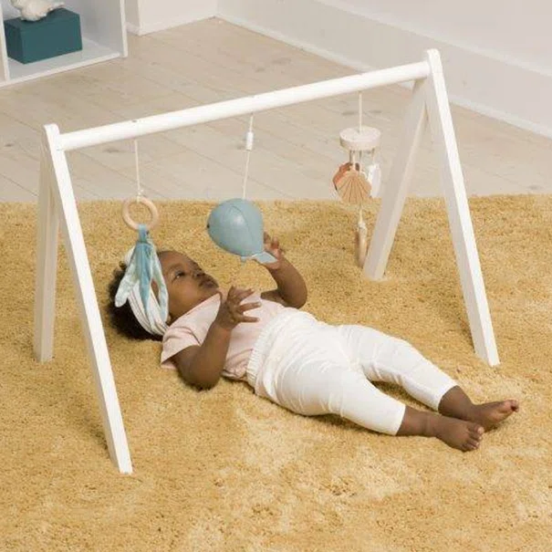 Ξύλινο Βρεφικό Γυμναστήριο Baby To Love Ωκεανός BTL303952