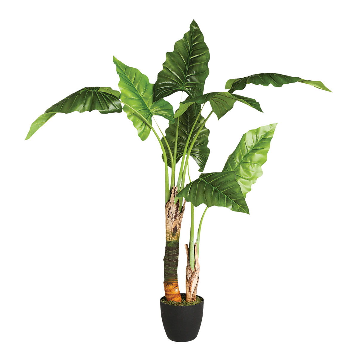 Τεχνητό Δέντρο Μπανανιά 124εκ. A-S Banana Pot 110249