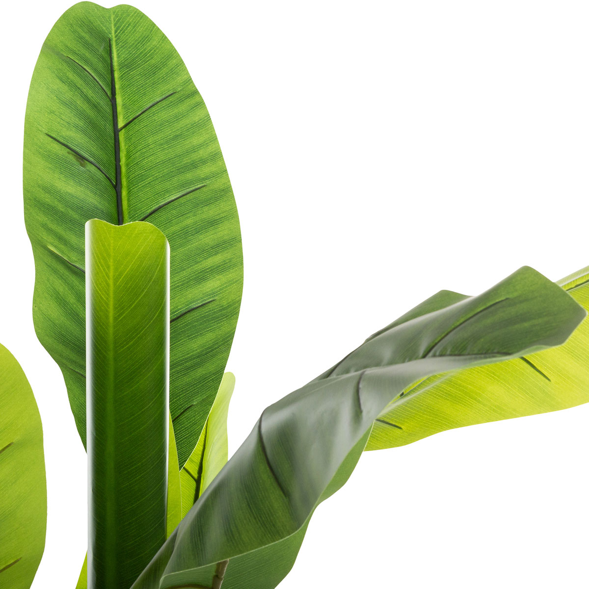 Τεχνητό Δέντρο Μπανανιά (122X119X130) A-S Banana Pot 167300 Όσα Αγαπήσατε Περισσότερο Μόλις Ξαναήρθαν - Είναι Πάλι Εδώ τα Διακοσμητικά Που Spitishop