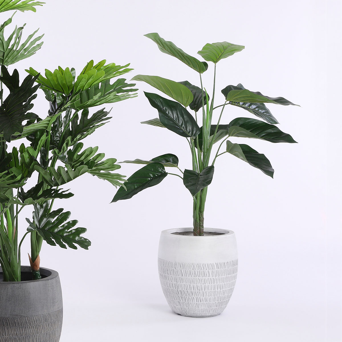 Τεχνητό Δέντρο (Φ70x100) Edelman Philodendron 1074893