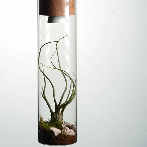 Φωτιστικό Οροφής Μονόφωτο Aca Pothos V110TR Wood