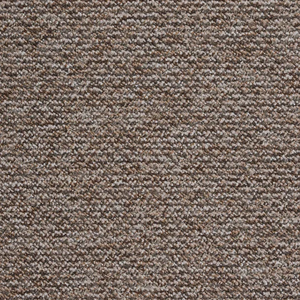Μοκέτα (160x240) Βιοκαρπέτ Newton 91 L Bruin