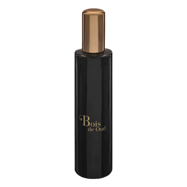 Αρωματικό Σπρέυ Χώρου 100ml A-S Arlo Wood 196073D