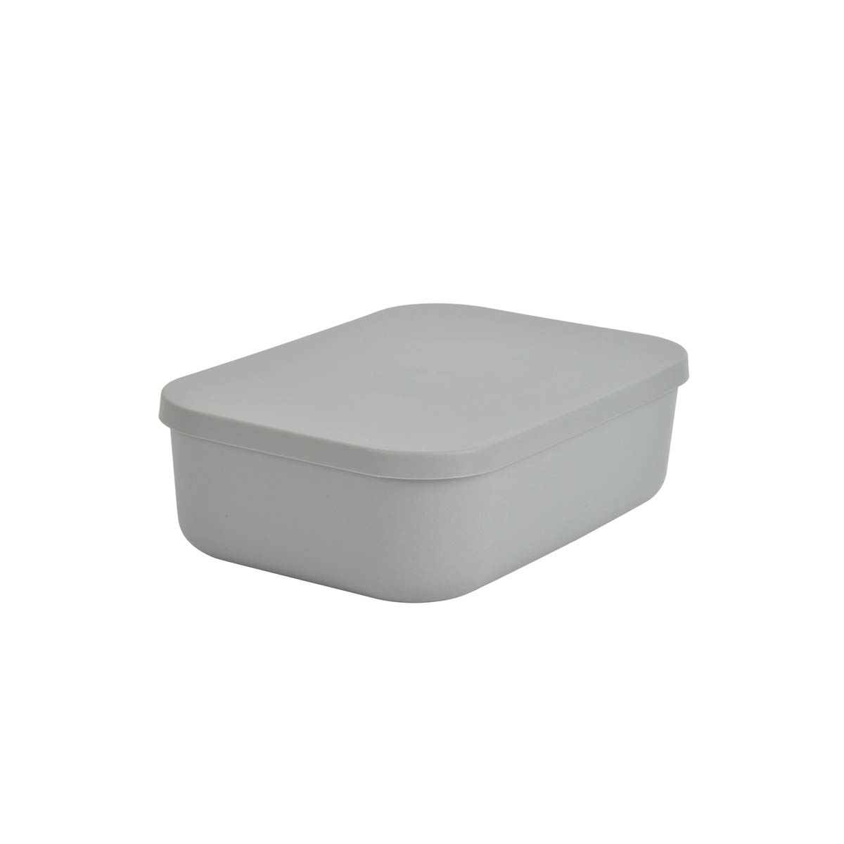 Κουτί Αποθήκευσης (25x17.5x7.6) L-C Gris 6RAN838GR