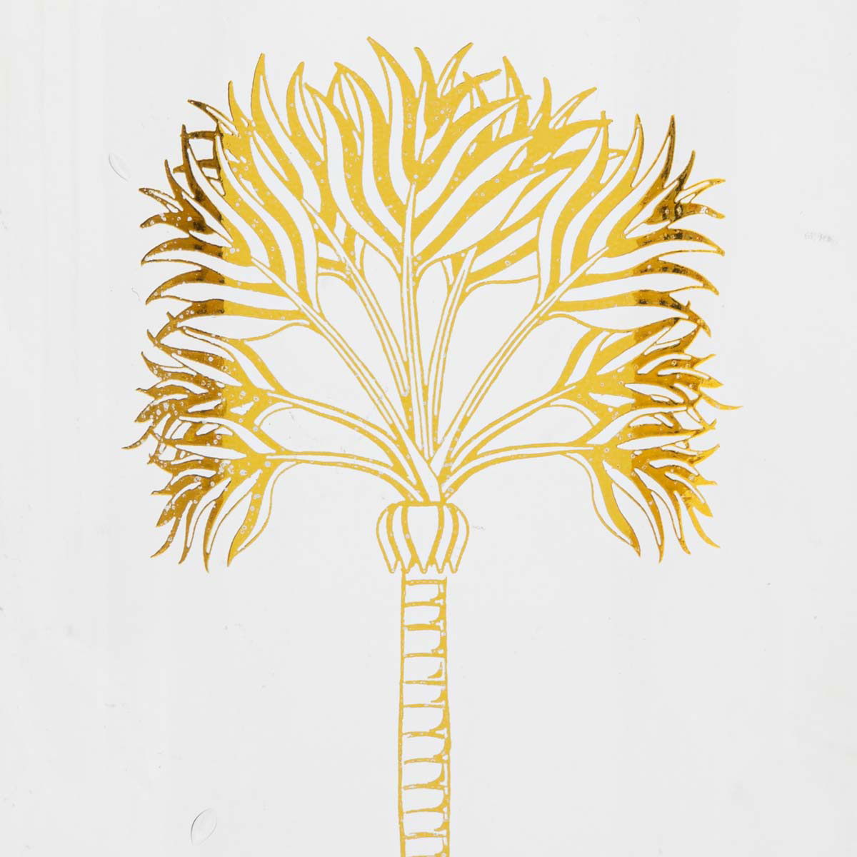 Διακοσμητικό Βάζο (Φ8.5x21.5) A-S Tropical Boudoir Transparent 198202A