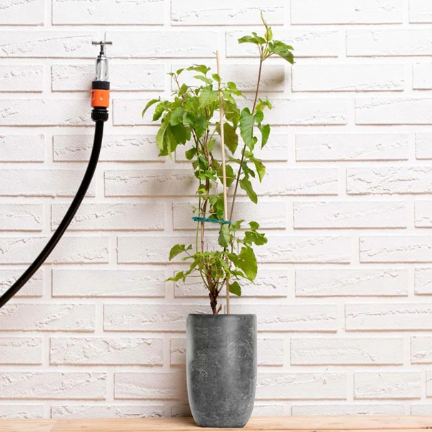 Κλιπς Φυτών Ρυθμιζόμενα 50τμχ Black+Decker 871125223692