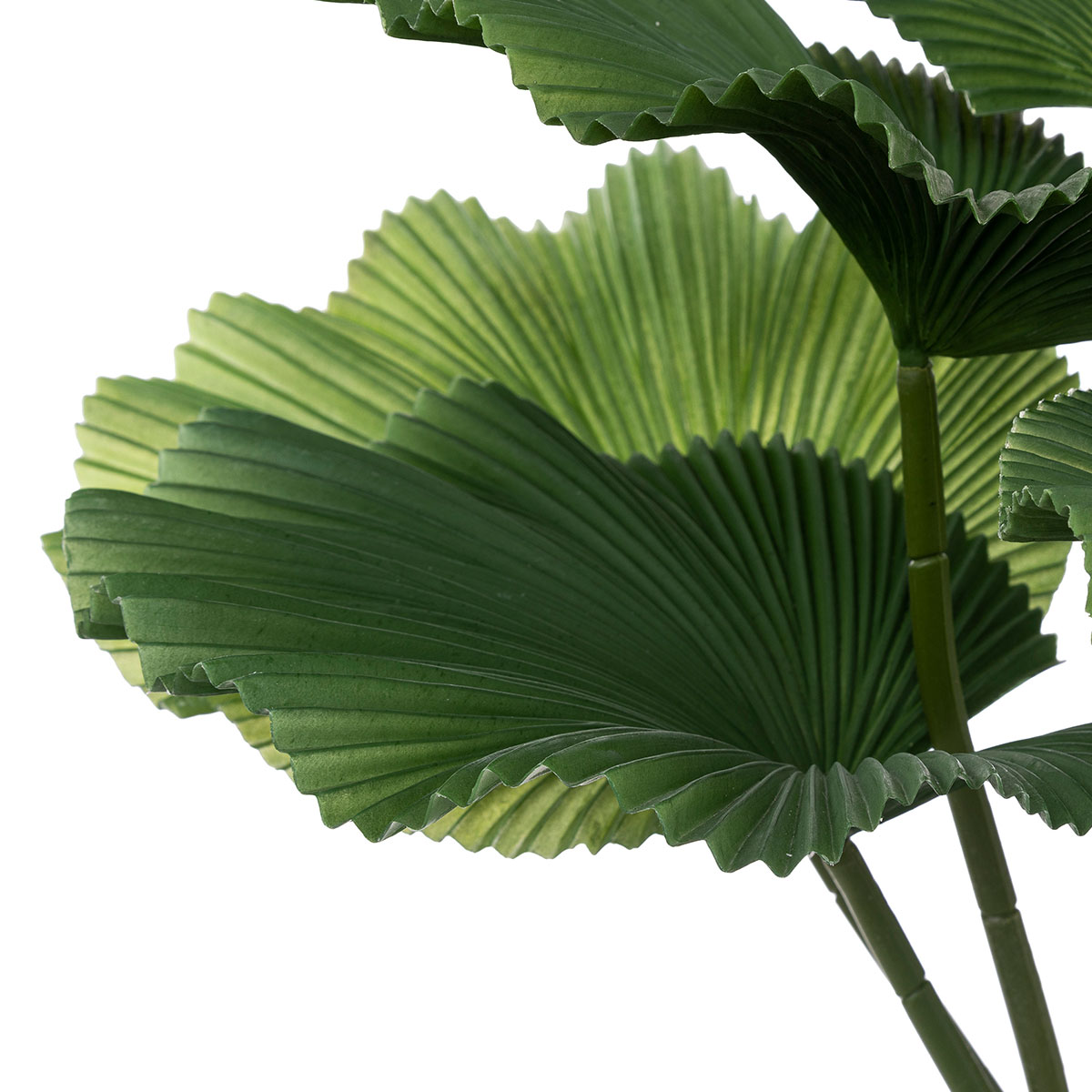 Τεχνητό Φυτό σε Γλάστρα (Φ62X65) A-S Palm Tree 189127 Διακόσμηση Τεχνητά Φυτά - Λουλούδια Spitishop
