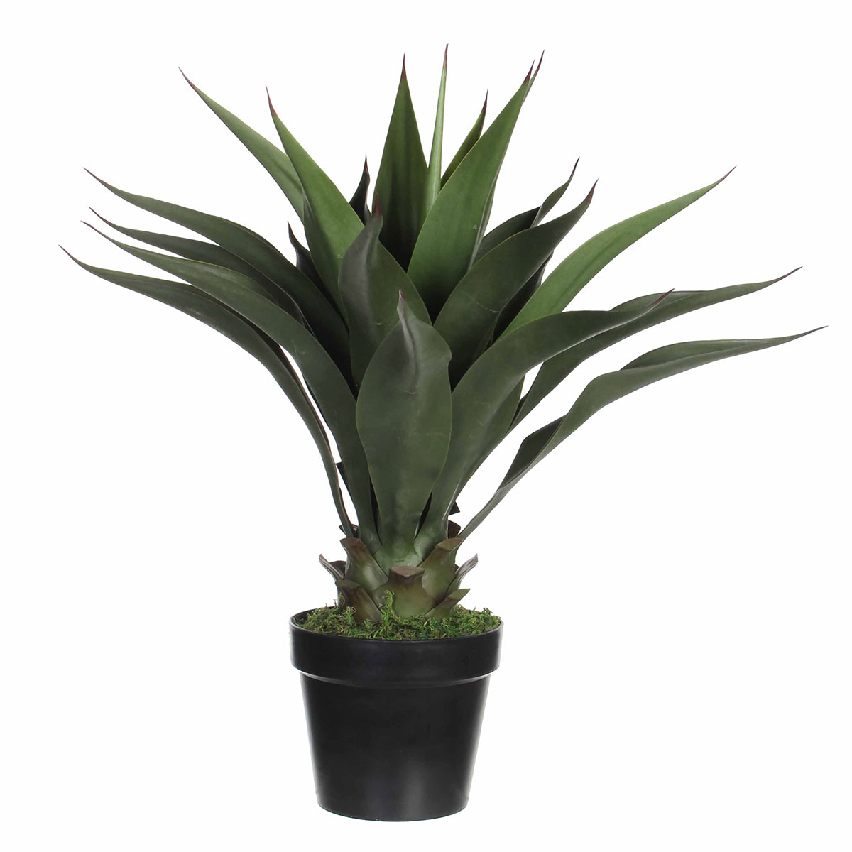 Τεχνητό Φυτό Σε Γλάστρα 60εκ. Edelman Agave 1026435