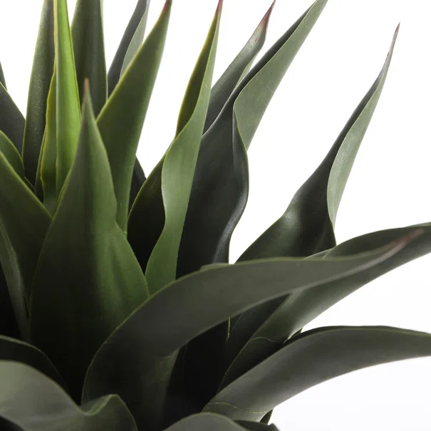 Τεχνητό Φυτό Σε Γλάστρα 60εκ. Edelman Agave 1026435