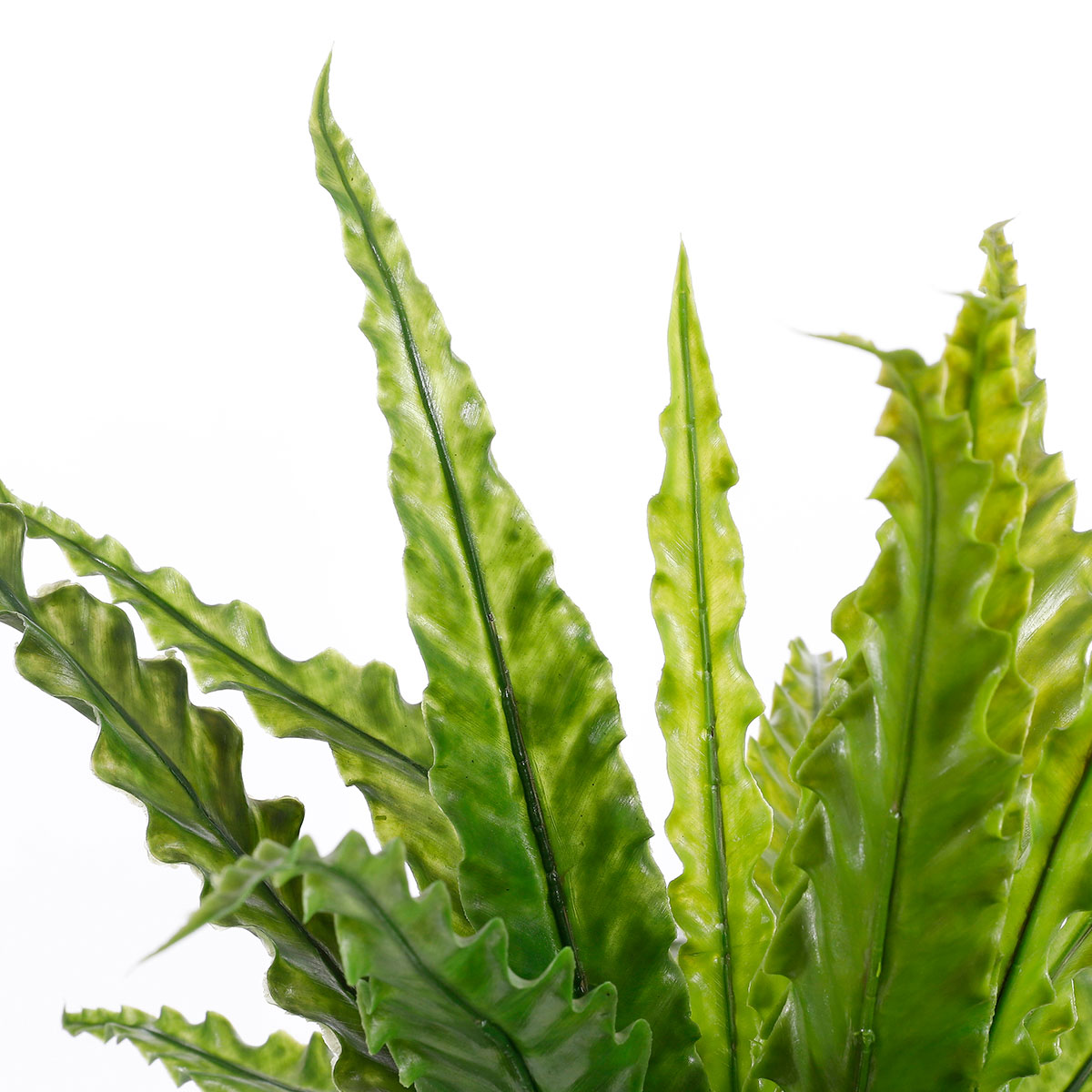 Τεχνητό Φυτό σε Γλάστρα 54Εκ Edelman Asplenium 1044536 Διακόσμηση Τεχνητά Φυτά - Λουλούδια Spitishop