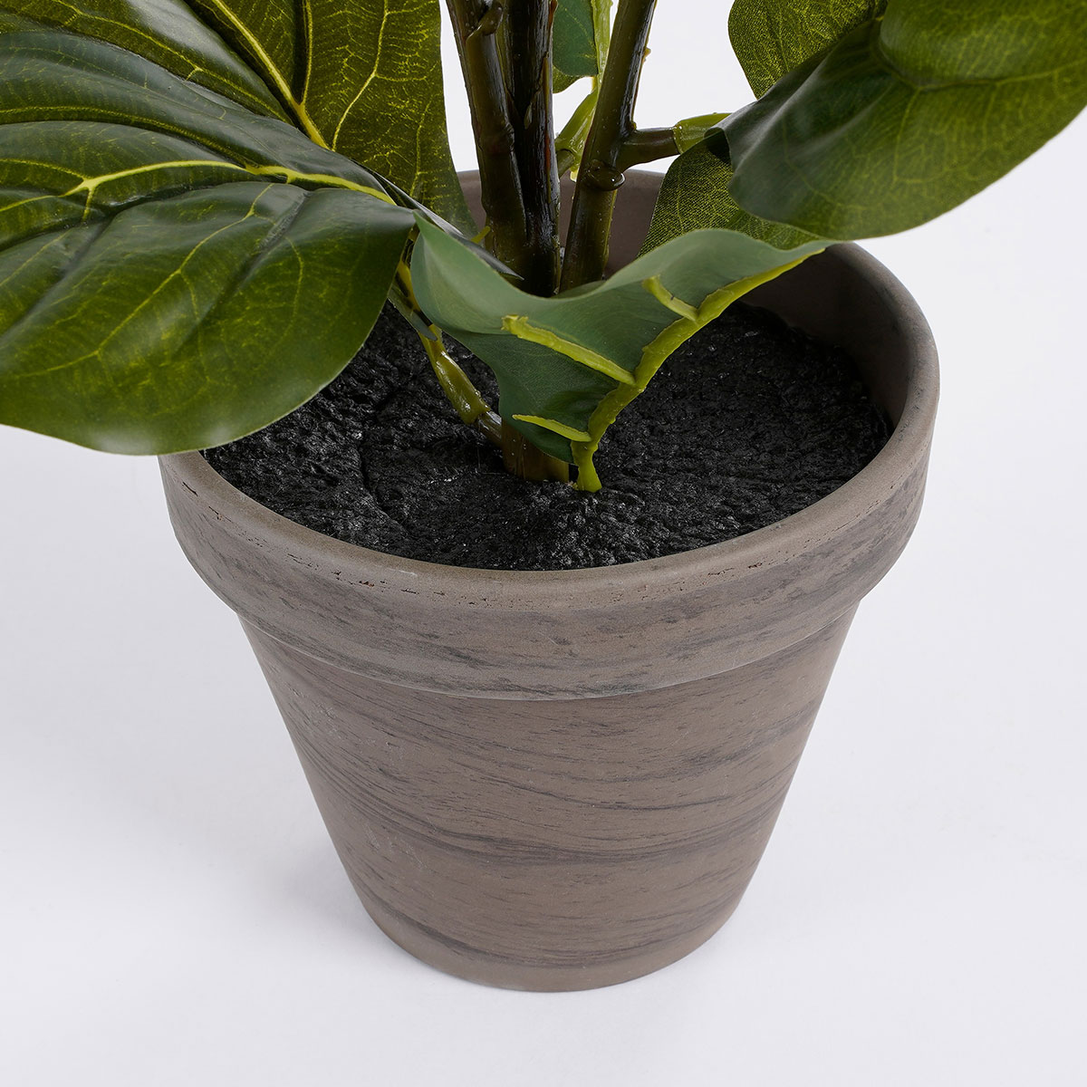 Τεχνητό Φυτό Σε Γλάστρα 35εκ. Edelman Ficus Lyrata 930693